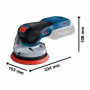 BOSCH Ponceuse GEX18-125 Solo -0601372200